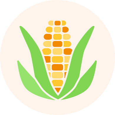 Rare Heirloom Corn